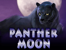 Panther Moon